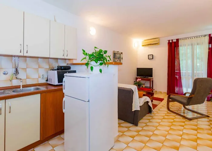 In - Istrien 53391 Apartamento *